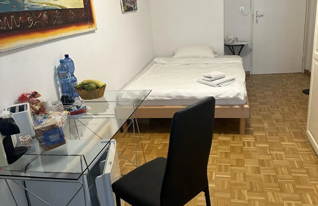 Schönes Zimmer in der City Basel-1