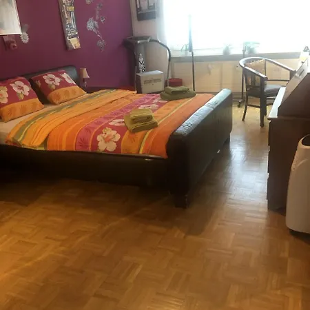 Schönes Zimmer in der City Basel-2